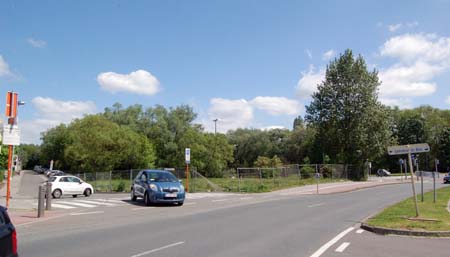 DSC_4345_Neerveld.jpg