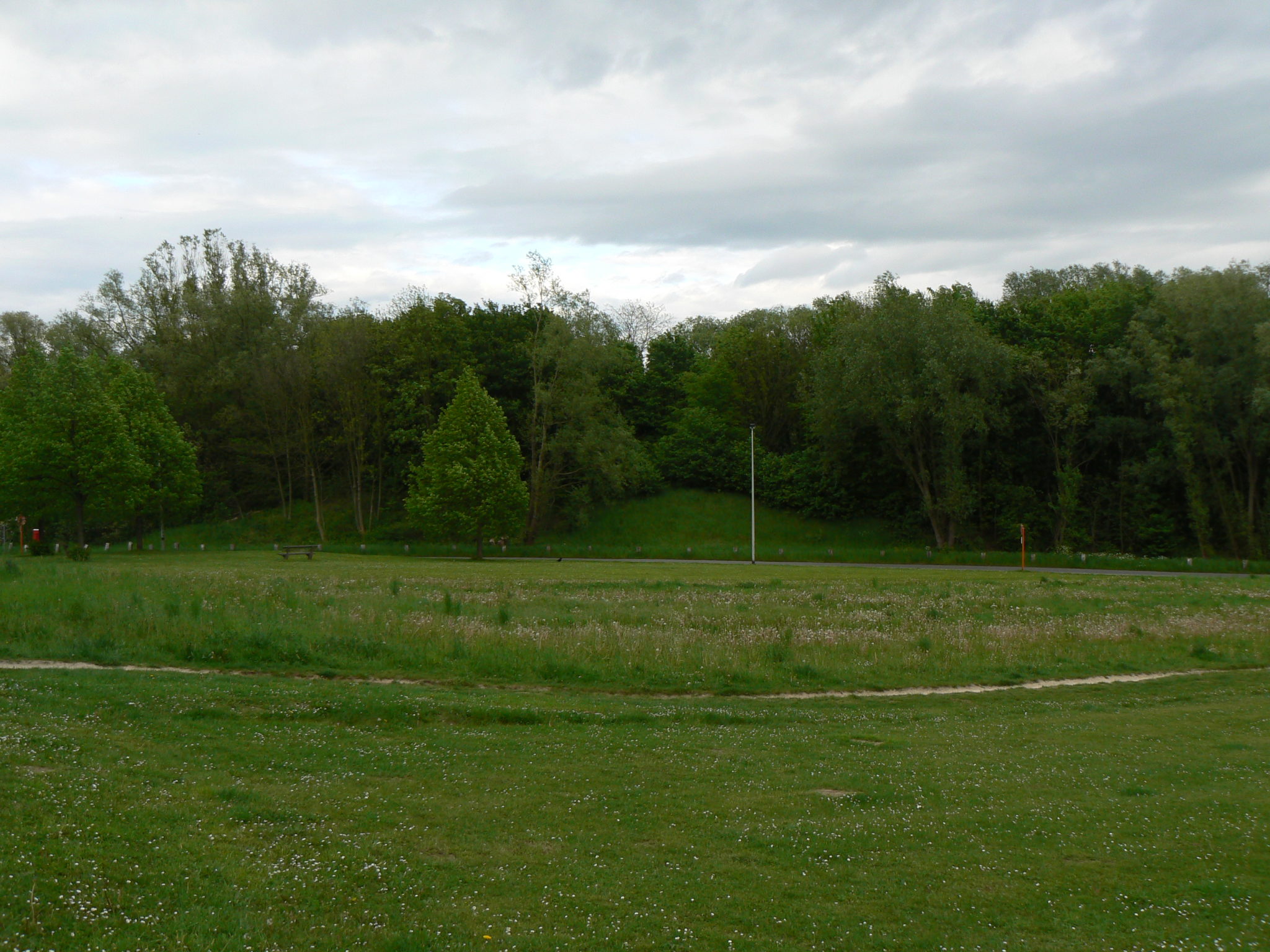 P1030697.jpg