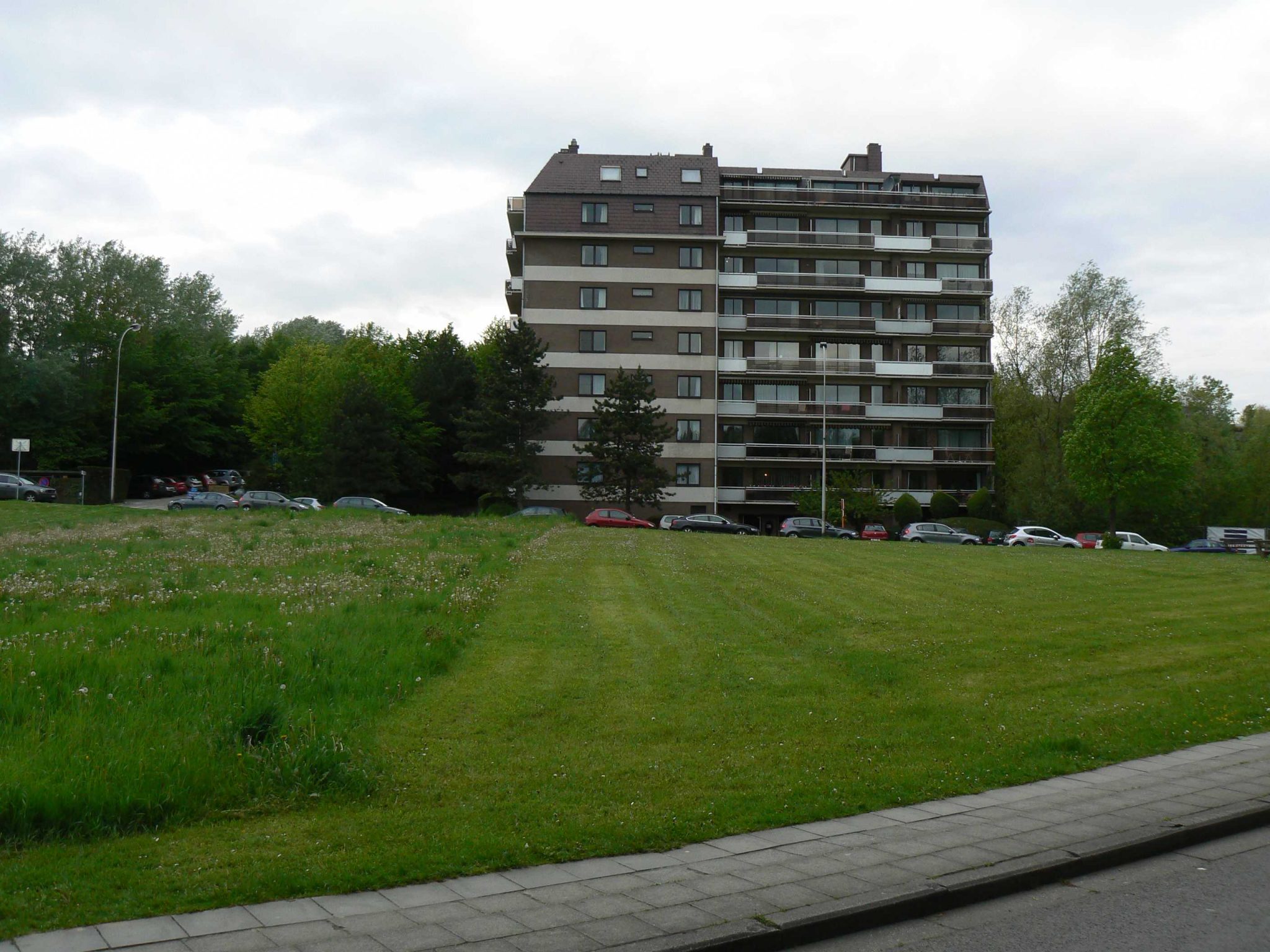 P1030701_r.jpg