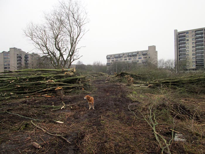 valdor_22mars2013.jpg